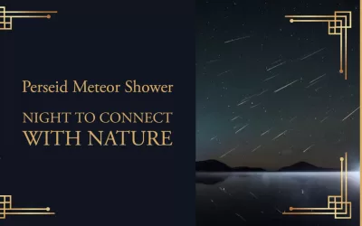 The Perseid Meteor Shower: A Night to Connect with Nature and the Universe